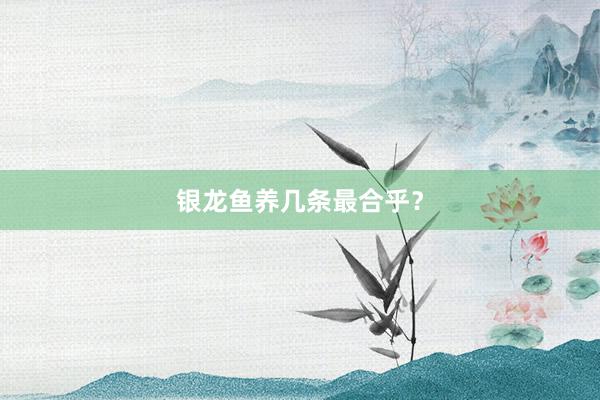 银龙鱼养几条最合乎？
