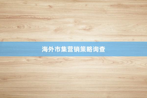 海外市集营销策略询查
